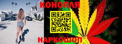мдпв Гусев