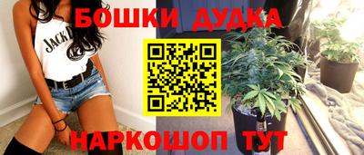 мдпв Гусев