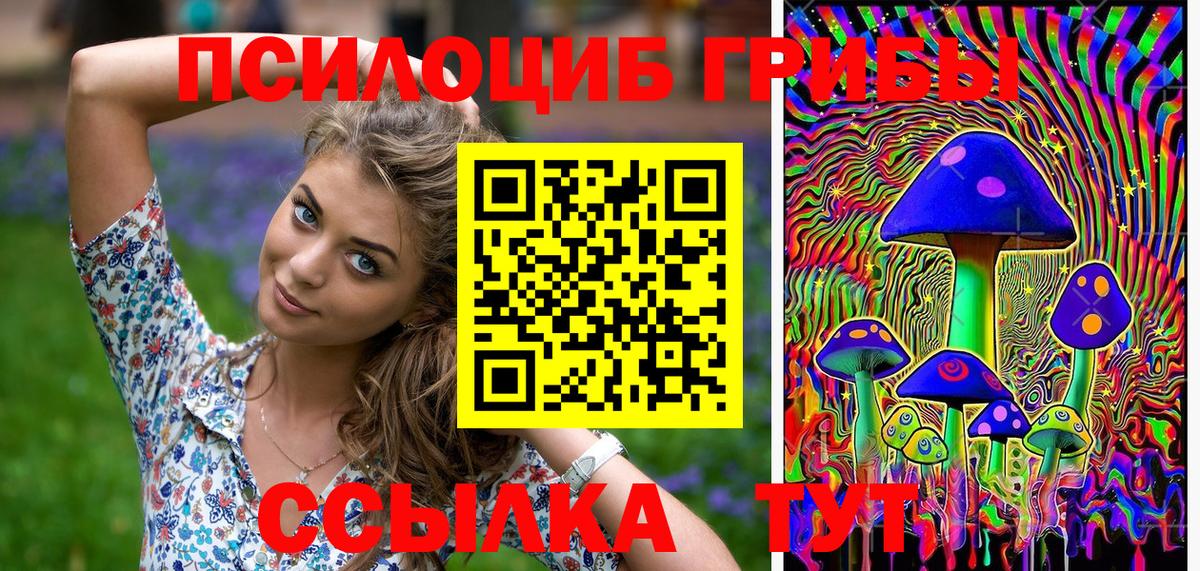 Миллерово  Галлюциногенные грибы MAGIC MUSHROOMS  Вход с VPN 